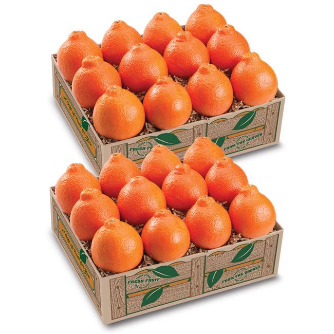 First and Last Honeybells