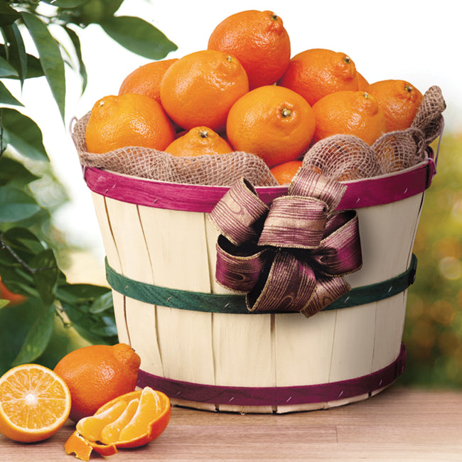 Honeybell Grove Basket