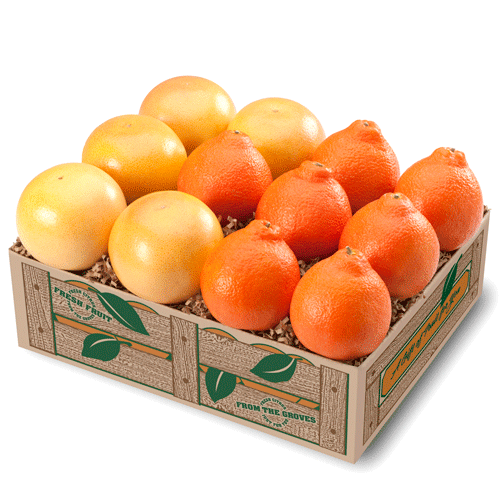 Honeybells and Grapefruit