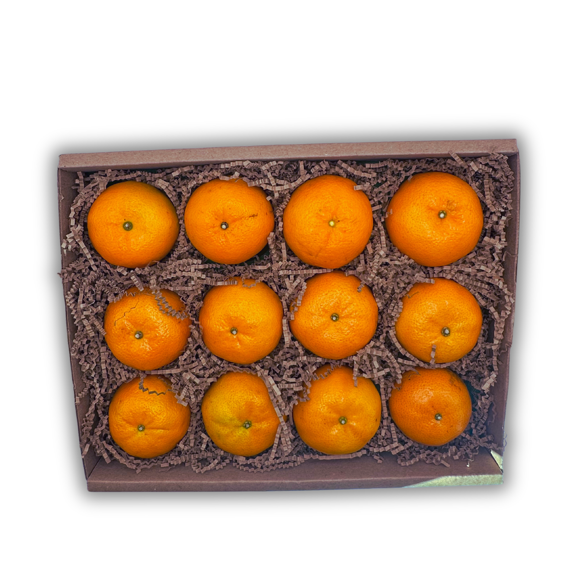 Orri Tangerine Trays
