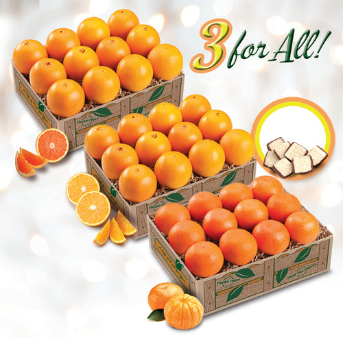 3 For All