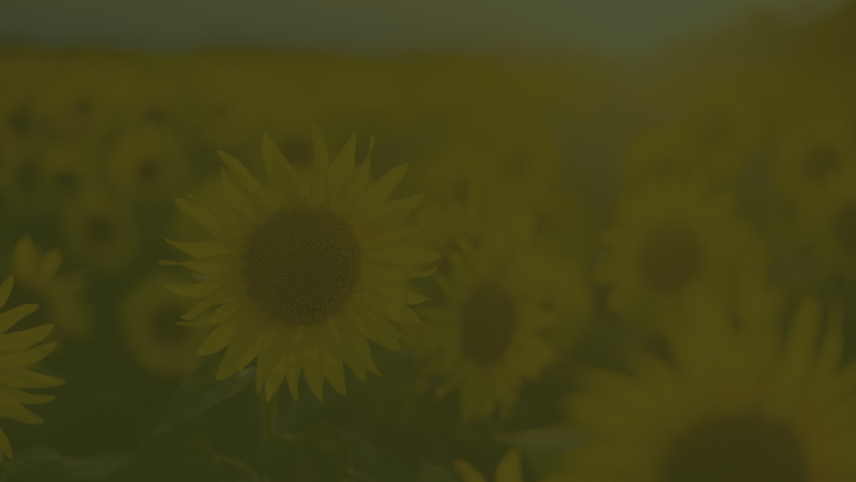 Things To Do – Golden Ridge Groves