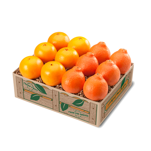 Honeybells and Navels
