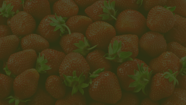 Strawberries – Golden Ridge Groves
