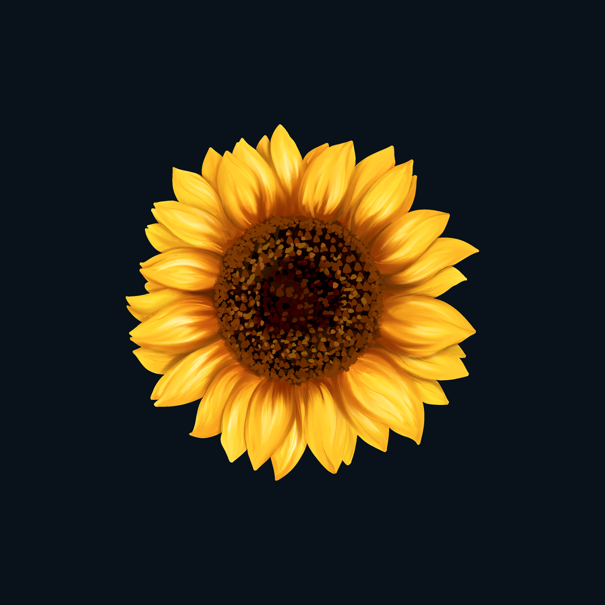 Sunflowers – Golden Ridge Groves